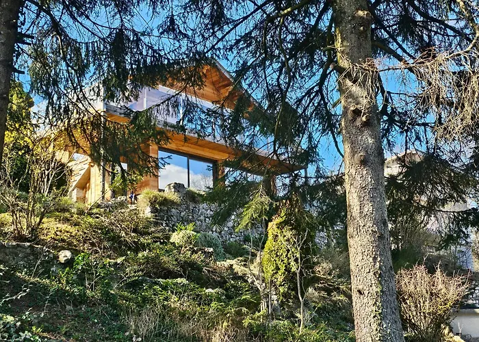 Bois Des Alpes