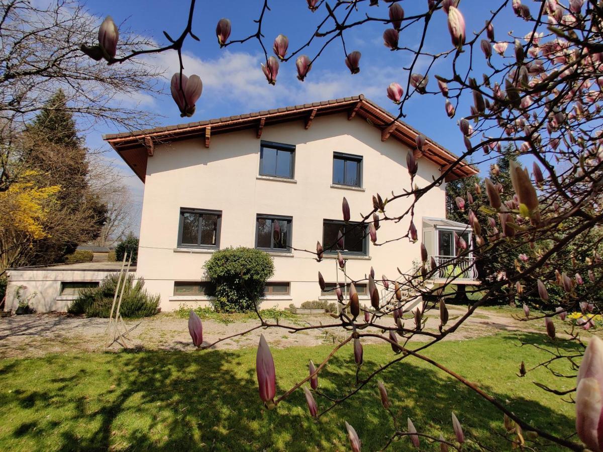 Les Pics Verts Apartment Annecy