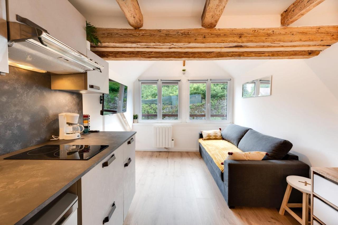 Apartment Le Studio Du Lac - Studio Quiet At The Foot Of Lake