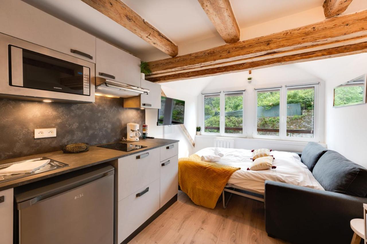 Le Studio Du Lac - Studio Quiet At The Foot Of Lake