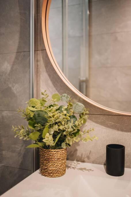 La Vie En Rose - Luxe, Calme & Hypercentre - 3* Apartment
