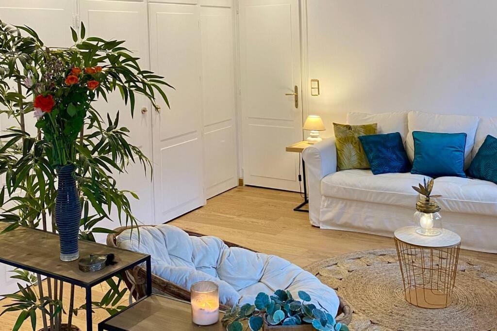 Le Roseau - En Plein Coeur Historique Apartment Annecy