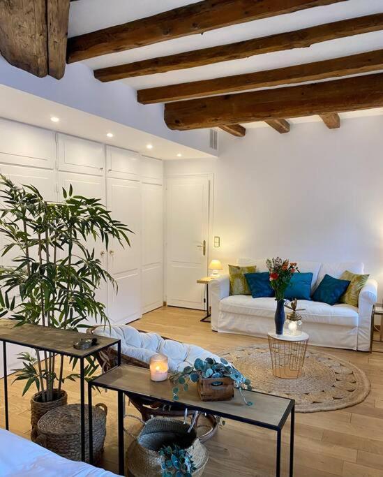 Le Roseau - En Plein Coeur Historique Apartment *