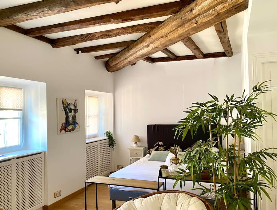 Apartment Le Roseau - En Plein Coeur Historique Annecy
