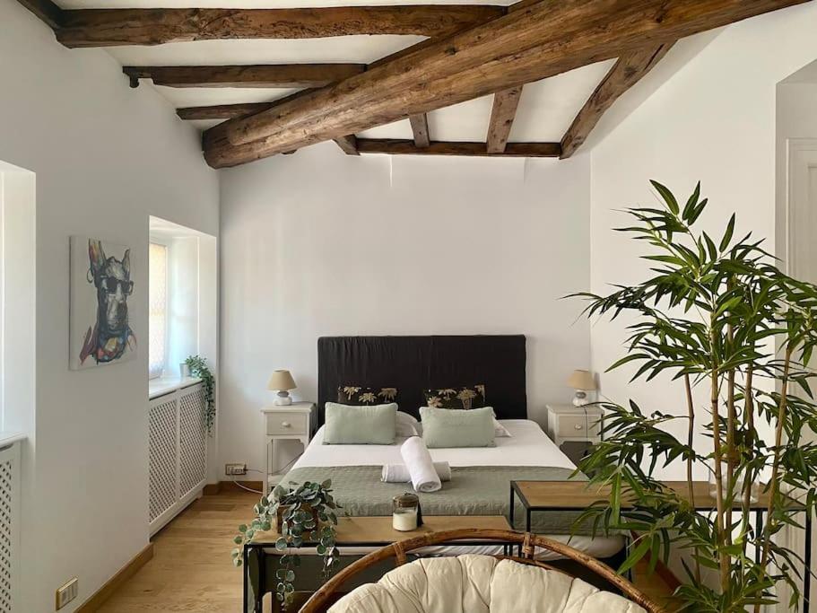 Le Roseau - En Plein Coeur Historique Apartment Annecy