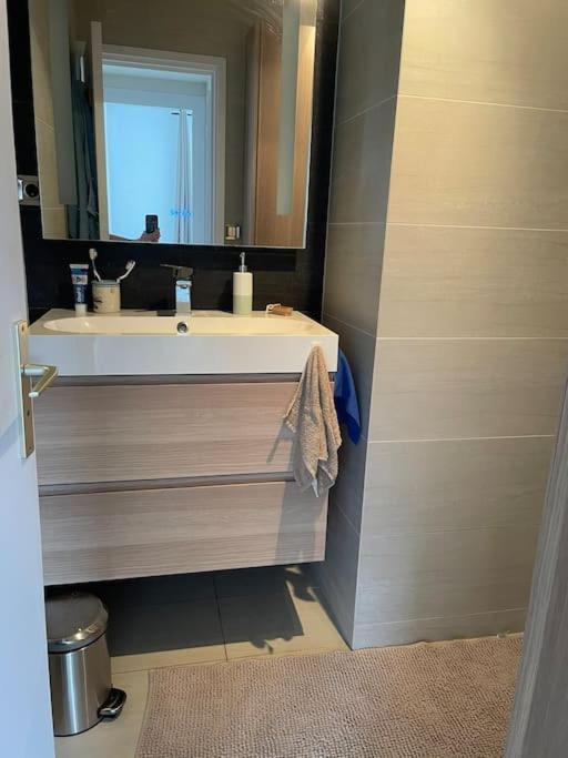 Apartment A 150m Du Lac- Plage De L'imperial Annecy