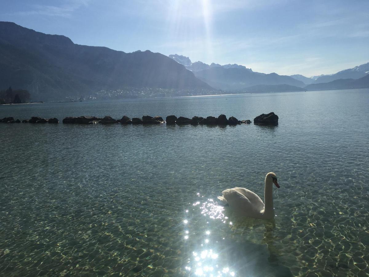 Vieil Annecy- L'edelweiss- Apartment *