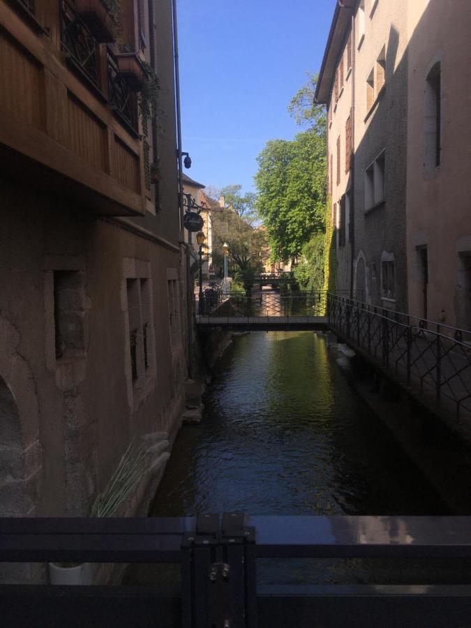 Vieil Annecy- L'edelweiss- Apartment Annecy