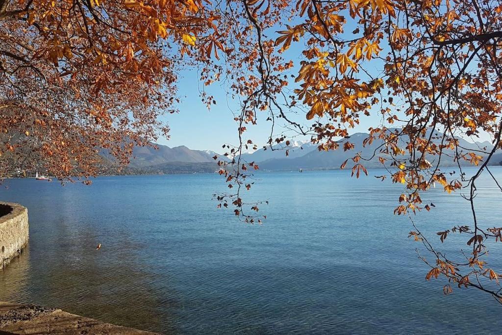 Magnifique A Deux Pas Du Et Pres Du Centre Annecy
