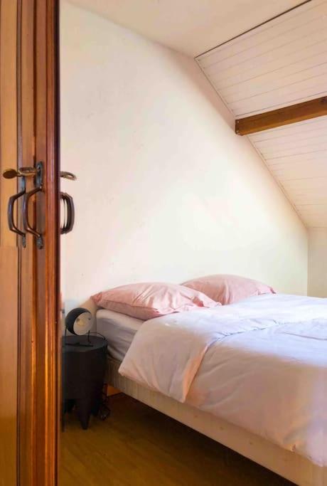 Vakantiehuis Maison De De 100m2 Proche Centre-ville/lac Annecy