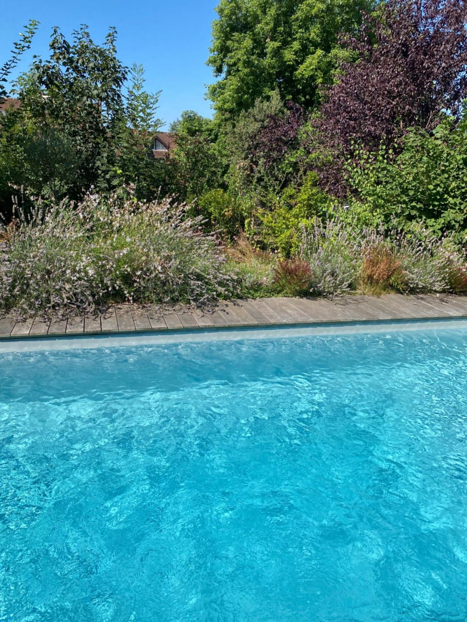 La Savoyarde, D'hotes Bed & Breakfast