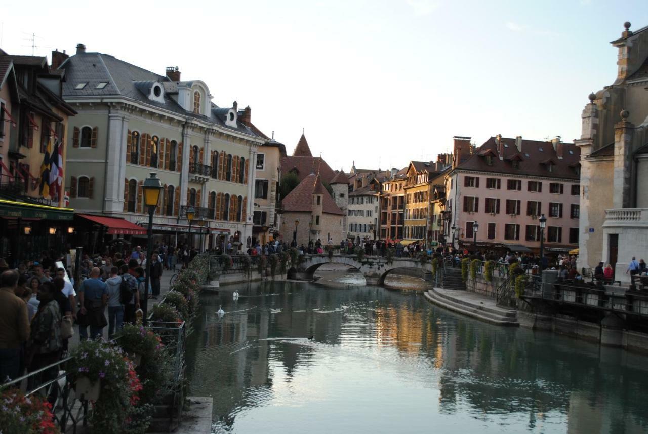 Hibiscus * Annecy