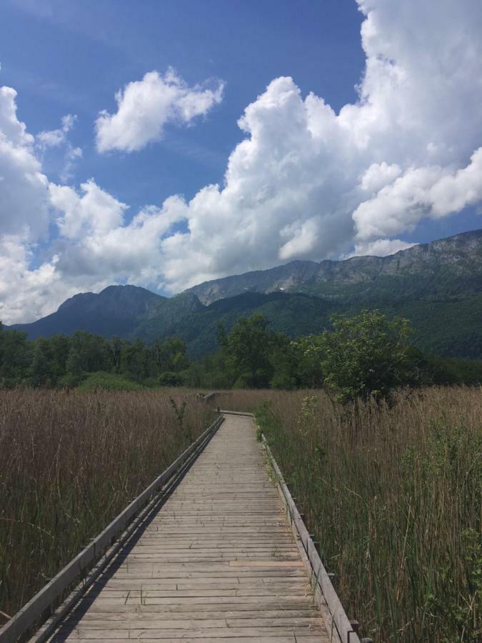 Campsite Lakeside Cabin 4*