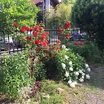 Le Catalpa - Centre Ville, Jardin & Parking!