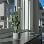 L\'Estrade Appartement Annecy
