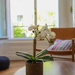La Terrasse Vaugelas - 2 Bedroom Apartment With Terrace
