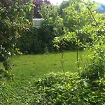 Studio Alpins