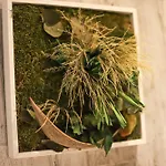 Le Cocon - Lofts & Lakes Certified 4-Stars