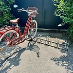 La Branche Du Cerisier