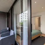Annecian Studio Close To The Lake And Historic Centre