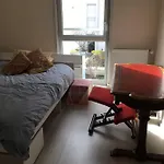 Appartement Centre-Ville