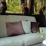 Appartement Escapade Nature