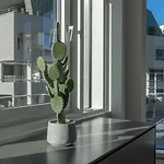 L\'Estrade Private Apartment