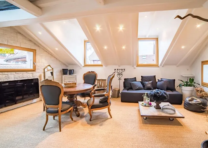 Appartements Atypiques Centre Ville Annecy