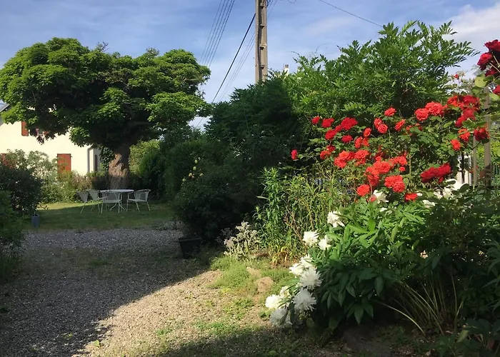 Le Catalpa - Centre Ville, Jardin & Parking!