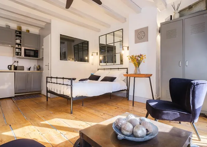 Au Grey D\'Annecy, Studio Cosy Au Coeur De La Ville