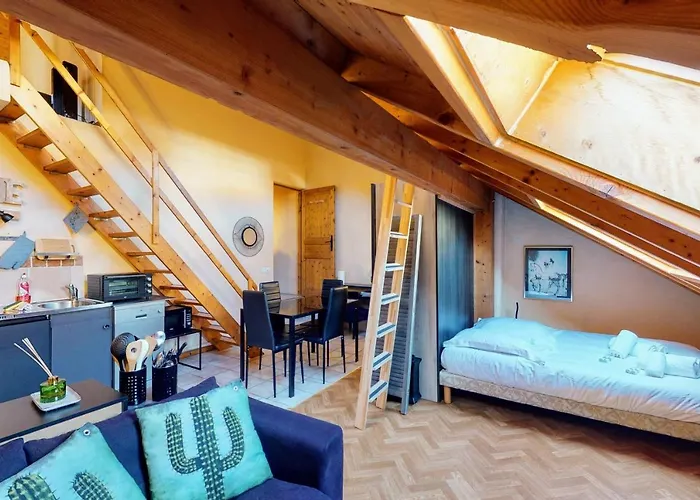 Duplex Cactus 4 People In The Centre Of Annecy 100 Meters From The Lake