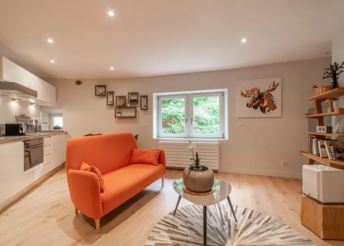 Escale Annecienne Furnished Flat