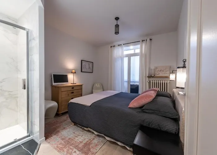 Luxurious Private Garage Apartment In The Heart Of Annecy