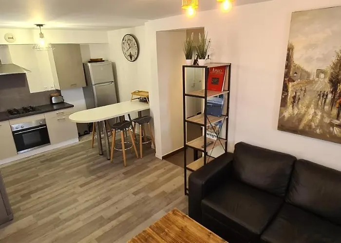 bel appartement en rez-de-jardin Annecy