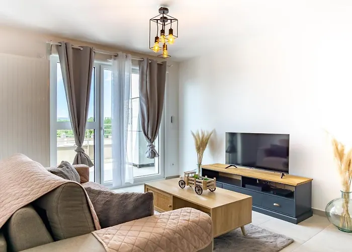 85 Geneve Confortable T2 Avec Parking Prive
