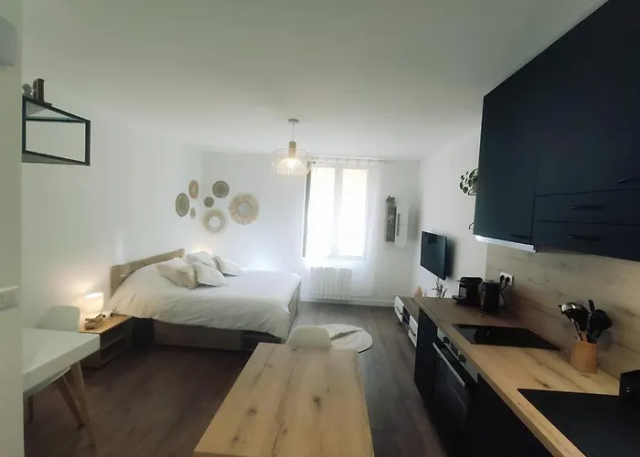 Annecy Vieille Ville, Superbe Appartement Au Calme