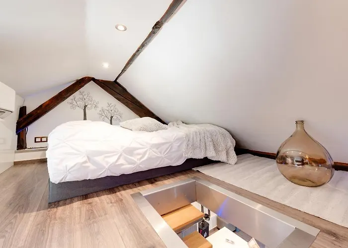 Le Duplex Atypique Et Superbe