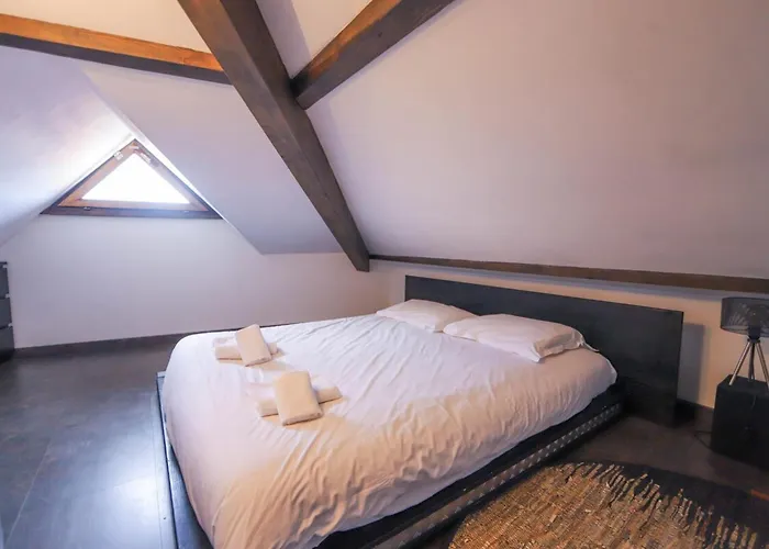2 Bd Apartment With Sauna In The Center Of Annecy