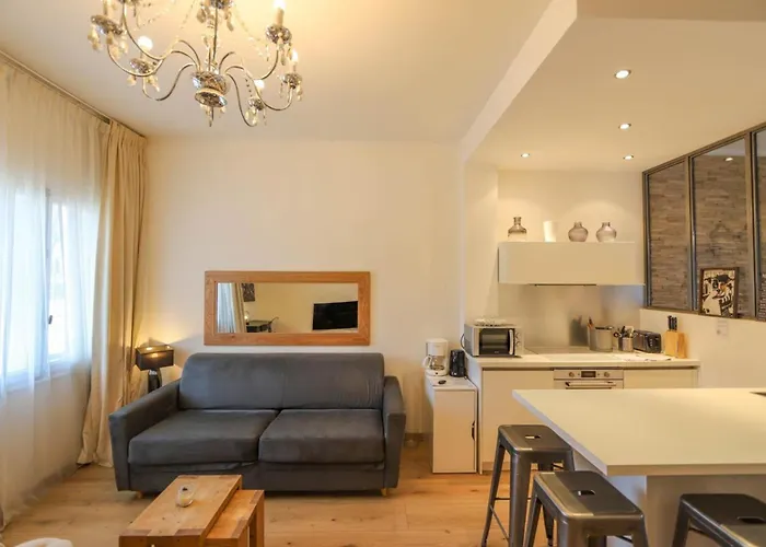 Annecy Apt W Car Park Near Downtown And Lake
