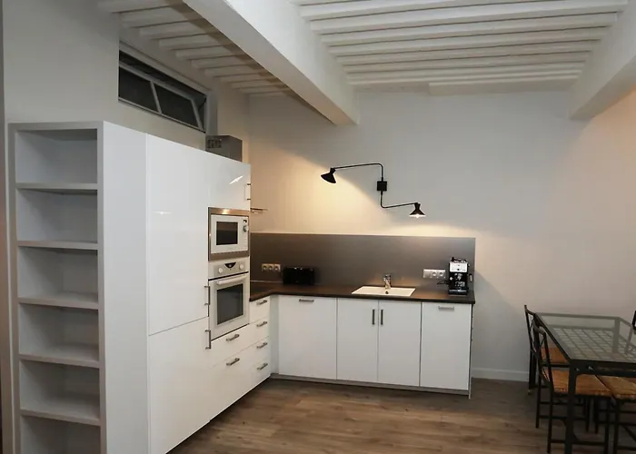55 M2 Apart With Big Terrace In Annecy Downtown