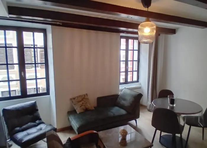 Le Carnot 2 Etoiles Hypercentre Vieille Ville Annecy