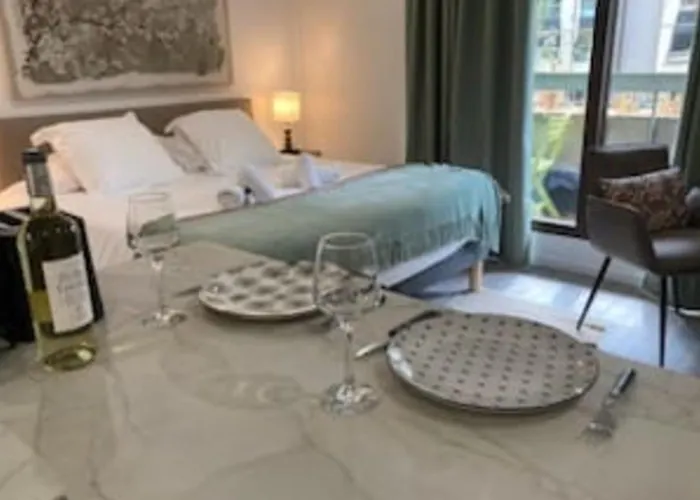 Le Bonlieu 3 - Joli Studio Avec Balcon En Plein Coeur De La Ville