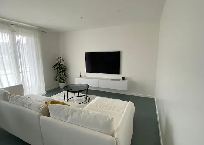 Modern Green & White - Apartments T3 60M2 Annecy - Parking Prive - Wifi - Netflix
