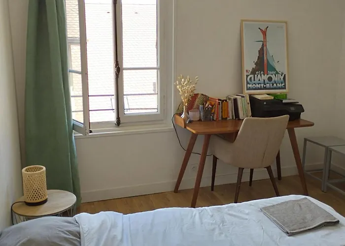 Cosy Flat Annecy Historical Center
