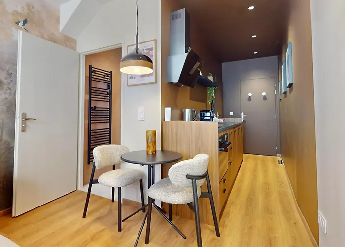 Studio Moderne En Plein Coeur De La Vieille Ville D\'Annecy
