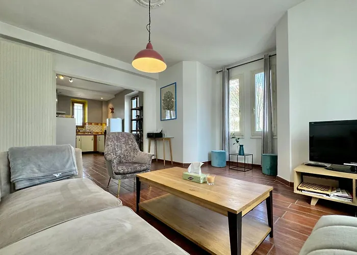 Les Accacias- Appartement Confortable En Centre Ville