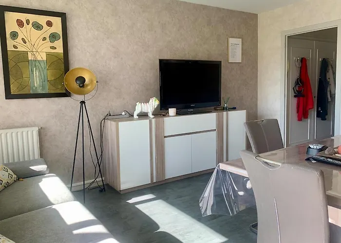 Gambetta-Annecy - Lb - Close To Center -Balcony Mountain View