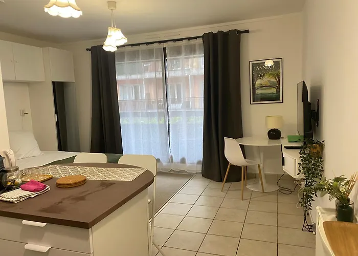 Annecy Centre, Charmant Studio