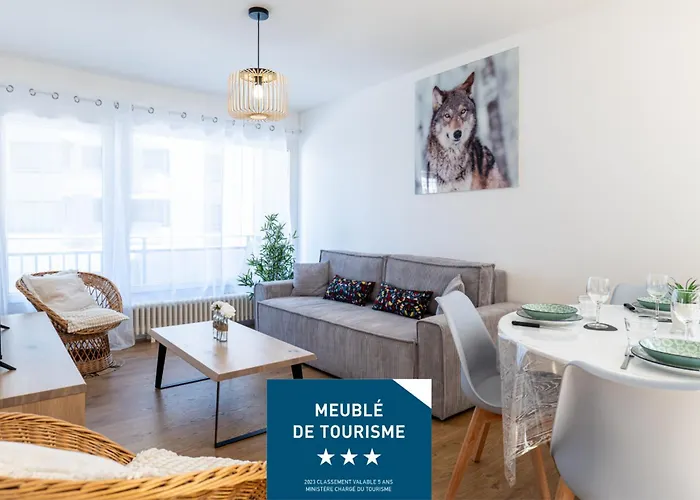 Festival -Appartement 3 Pieces Annecy Centre Ville