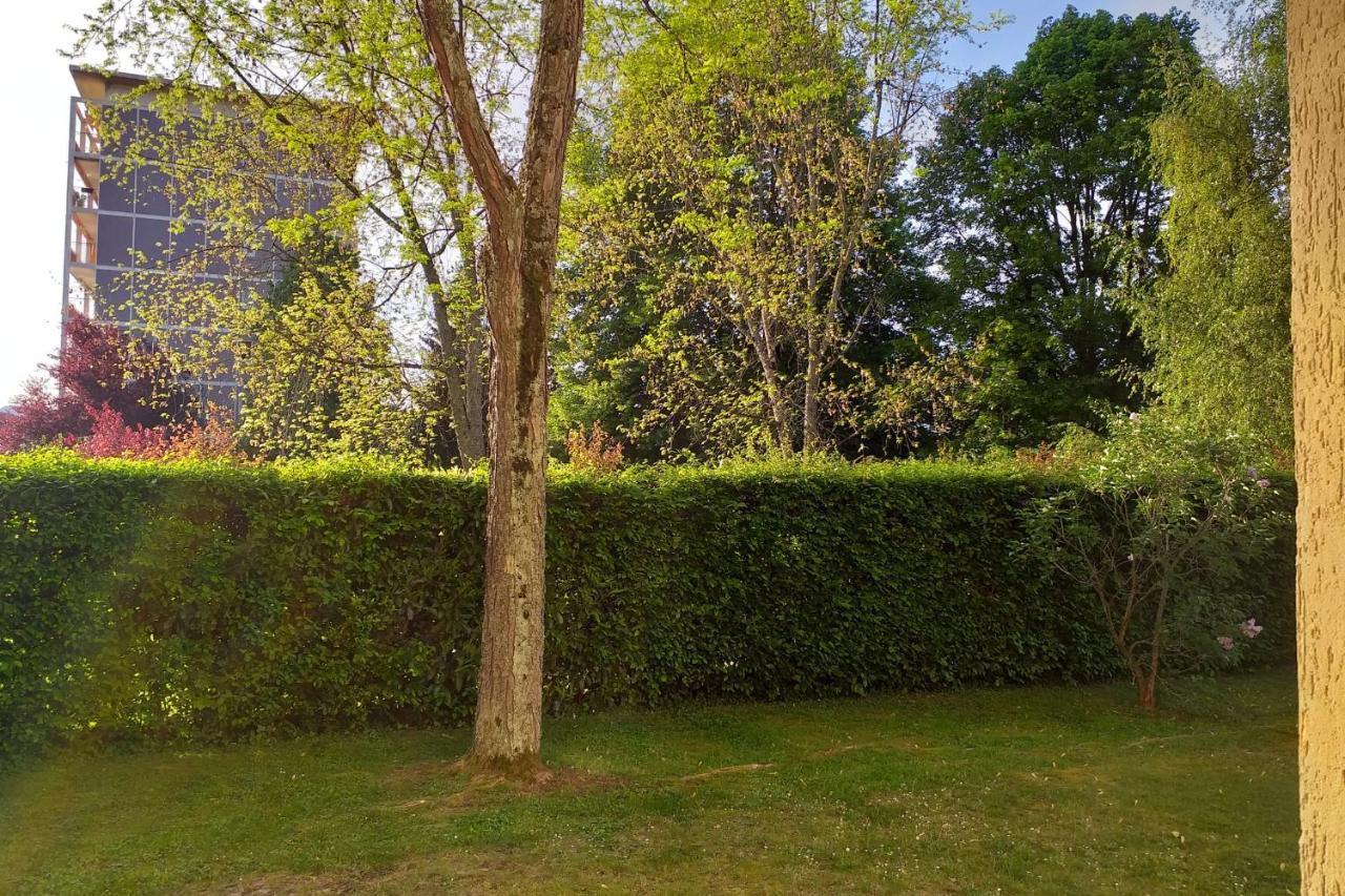 Apartment Les Merisiers - Studio Cosy A Le Vieux - Wifi & Parking Annecy